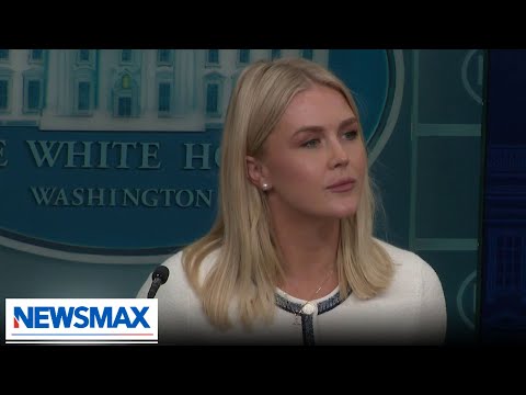 You are currently viewing Karoline Leavitt: Democrats didn’t do a dang thing about Epstein