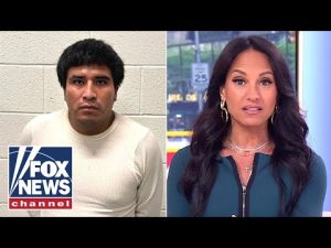 Read more about the article EXCLUSIVE: ICE arrests migrant with rape conviction, violent history