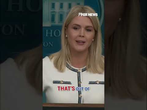 You are currently viewing Karoline Leavitt pressed on potential ‘credible evidence’ in Epstein files #foxnews #news #shorts