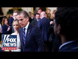 Read more about the article Hunter Biden ROASTED over ‘crazy’ White House, Dem claims