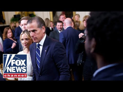 You are currently viewing Hunter Biden ROASTED over ‘crazy’ White House, Dem claims
