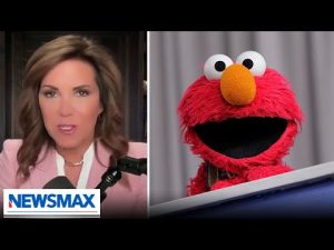 Read more about the article Nothing needs to be funded at NPR and PBS: Michele Tafoya | The Chris Salcedo Show