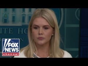Read more about the article Leavitt: Democrats never did a ‘dang thing’ about the Epstein case