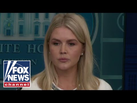 You are currently viewing Leavitt: Democrats never did a ‘dang thing’ about the Epstein case