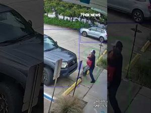 Read more about the article WATCH: Attempted kidnapping caught on Florida surveillance camera #kidnapping #shorts #florida