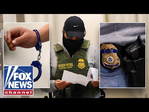 Read more about the article ENDANGERED BY DOXXING: ICE agents and their families face rising threats