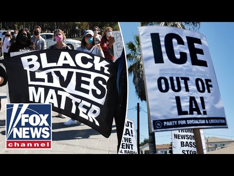 You are currently viewing ‘I DON’T BUY IT’: BLM and anti-ICE groups have the same goal, says congresswoman
