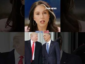 Read more about the article Tulsi Gabbard: Obama admin manufactured Trump-Russia intel #shorts #foxnews