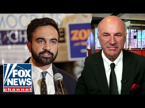 You are currently viewing Mamdani’s policies will make ‘New York continue to decline,’ says Kevin O’Leary