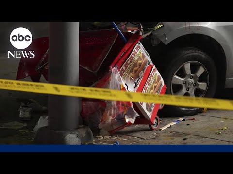 Read more about the article Driver plows into crowd outside LA music venue