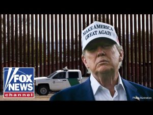 Read more about the article Under Trump, it’s a ‘REALLY GREAT TIME’ to be a border patrol agent, says union head