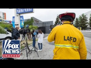 Read more about the article Driver intentionally plowed through crowd outside nightclub, LAPD says