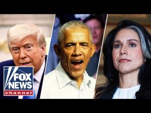 Read more about the article Tulsi Gabbard drops MAJOR bombshell shedding light on ‘years-long coup’ against Trump