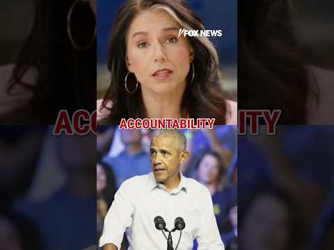 Read more about the article Tulsi Gabbard: There must be accountability #shorts #foxnews #news #us #fox #obama #trump #politics