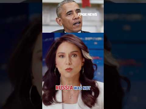 Read more about the article Gabbard sets the record straight on Russia’s alleged election interference #shorts #foxnews #news
