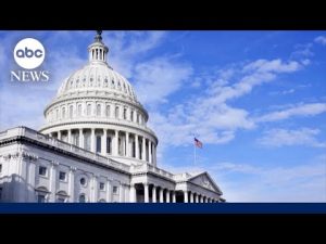 Read more about the article House Republicans consider vote to release Epstein files
