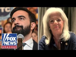 Read more about the article Why electing Mamdani as NYC mayor would be a ‘deathblow’ to the Big Apple