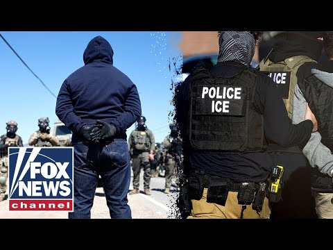 Read more about the article Dems accuse White House of ‘militarizing’ immigration policy