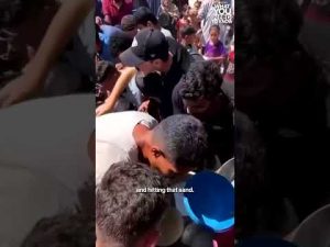 Read more about the article More than 70 Palestinians killed in Gaza on Sunday