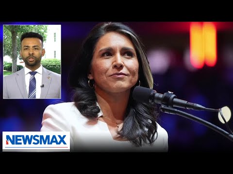 Read more about the article Tulsi Gabbard is unearthing a massive scandal: Harrison Fields | National Report