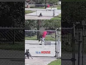 Read more about the article Illegal immigrant arrested after security camera catches kidnapping #shorts #foxnews #news #us #fox