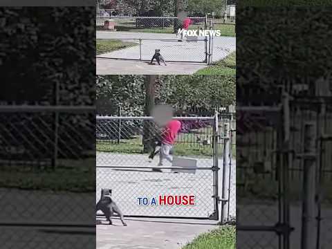 Read more about the article Illegal immigrant arrested after security camera catches kidnapping #shorts #foxnews #news #us #fox