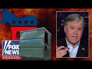 Read more about the article Inside the ‘dumpster fire’ that is the Democratic Party