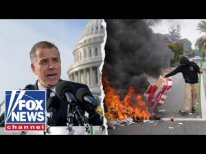 Read more about the article ‘IDIOTIC’: Hunter Biden slammed for illegal immigration comments