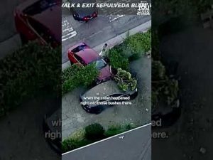 Read more about the article Southern California car chase has dramatic end