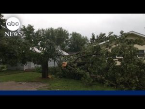 Read more about the article Heavy rain and damaging winds sweep through Midwest