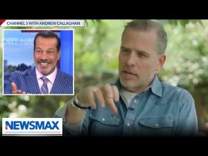 Read more about the article Hunter should be complimented for going after Dems: John Tabacco | National Report