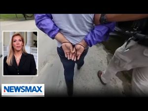 Read more about the article Democrats defend criminals at expense of law-abiding: Beth Van Duyne | Newsline