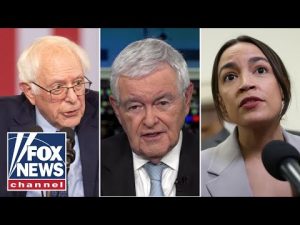 Read more about the article Newt Gingrich: These 3 are the future of the ‘traditional party’