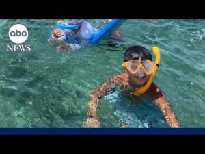 Read more about the article Video shows moment boy attacked by shark in Florida Keys