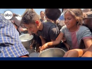 Read more about the article More than 100 aid groups warn of ‘mass starvation’ in Gaza