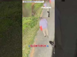 Read more about the article Hunt for suspect accused of blowtorching raccoon #shorts #us #sanfrancisco #foxnews #news #us #fox