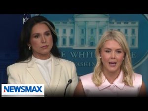 Read more about the article Tulsi Gabbard: Evidence of conspiracy points to President Obama
