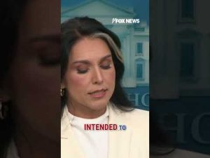 Read more about the article Gabbard: Obama admin tried to ‘delegitimize’ Trump’s presidency #trump #obama #shorts #politics