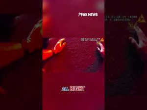 Read more about the article WATCH: Rescue caught on camera after motorcyclist is pinned under vehicle #rescue #shorts #collision