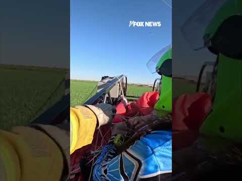 You are currently viewing WATCH: Skydiver stuck mid-air over roadway #shorts #usa #us #viral #news