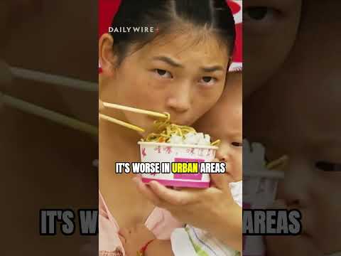 You are currently viewing China’s population collapse is worse than you think