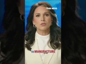 Read more about the article DNI Tulsi Gabbard blows the lid off ‘Russiagate’ hoax: ‘WHISTLEBLOWER’ #shorts #trump #obama #russia