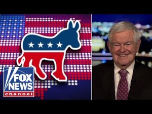 Read more about the article Newt Gingrich: The Democratic Party is experiencing the ‘most remarkable collapse’ ever
