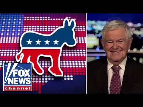 You are currently viewing Newt Gingrich: The Democratic Party is experiencing the ‘most remarkable collapse’ ever