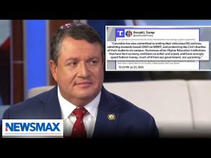 Read more about the article Jewish kids on campuses are going to be protected: Randy Fine | National Report