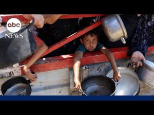 Read more about the article Signs of ‘mass starvation’ in Gaza as Israel ramps up offensive
