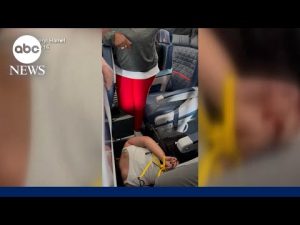 Read more about the article Grandmother stops passenger from storming Delta cockpit
