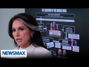 Read more about the article Dems attempt to downplay Obama conspiracy claims | National Report
