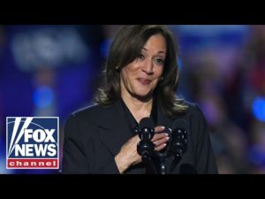 Read more about the article Democrats make baffling move in bid to win back youth vote