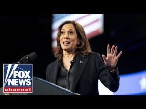 Read more about the article WATCH LIVE: Kamala Harris speaks at leftist youth political summit